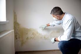 Best Biohazard Mold Removal  in Gang Mills, NY